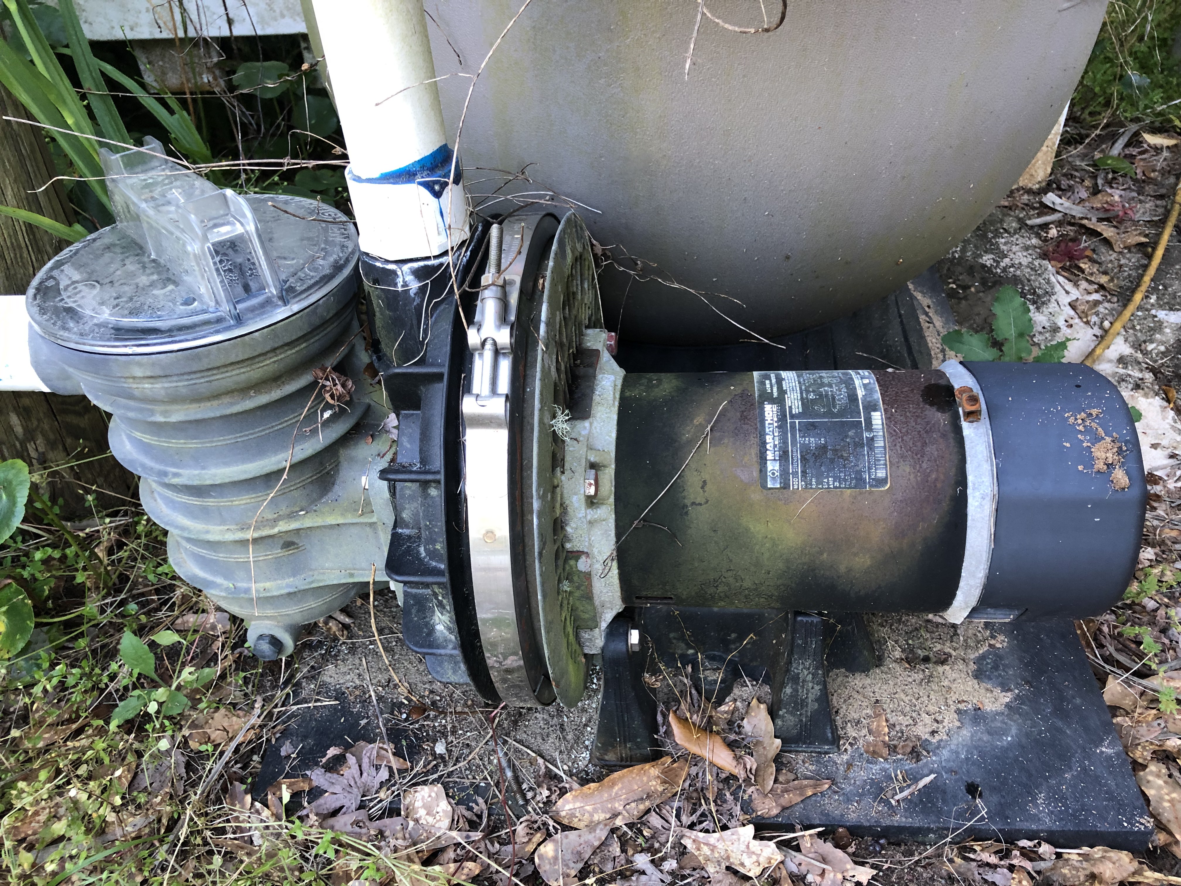 Pureline 1.5 H.P In Ground Pool Pump - PL1601