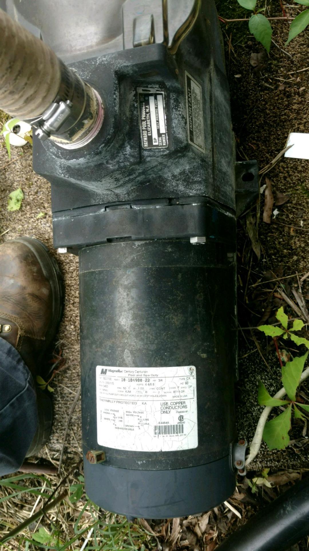 Pureline 1.5 H.P In Ground Pool Pump - PL1601