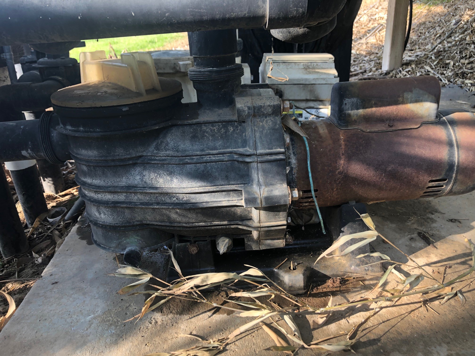 Pureline 1.5 H.P In Ground Pool Pump - PL1601