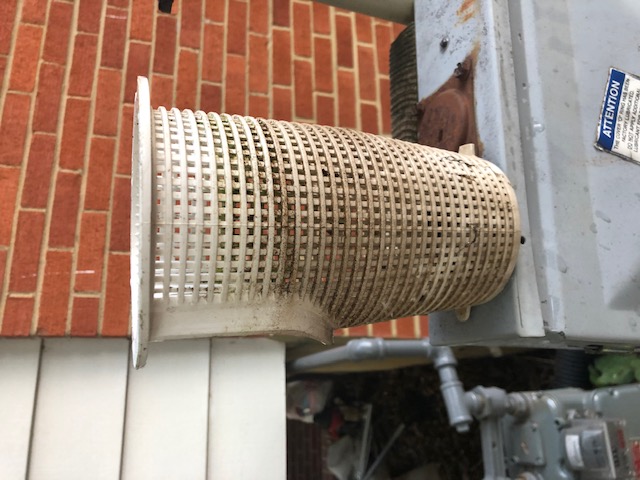 Pureline 1.5 H.P In Ground Pool Pump - PL1601