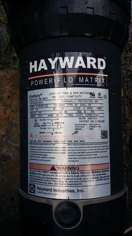 Pureline 1.5 H.P In Ground Pool Pump - PL1601