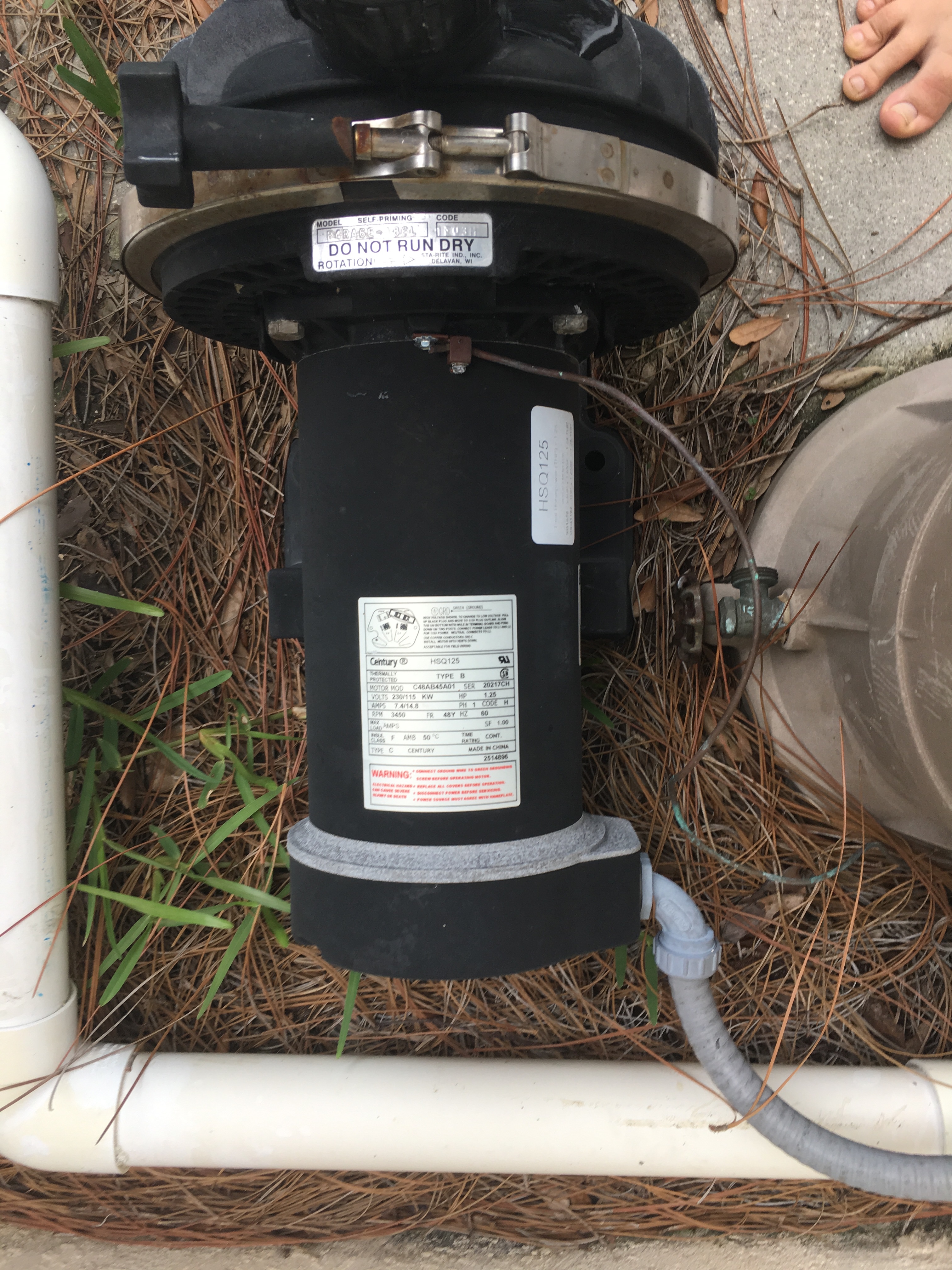 Pureline 1.5 H.P In Ground Pool Pump - PL1601