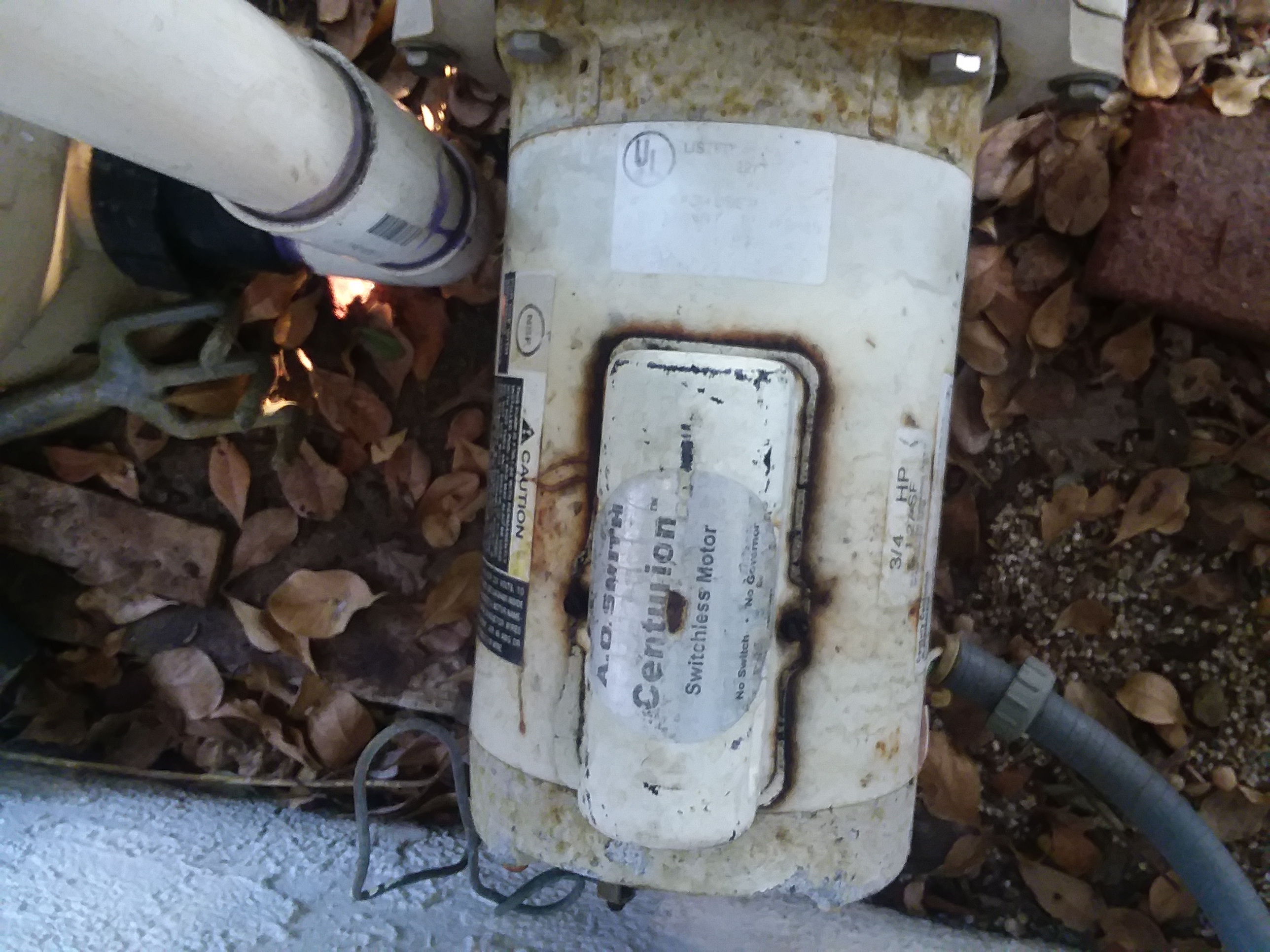 Pureline 1.5 H.P In Ground Pool Pump - PL1601