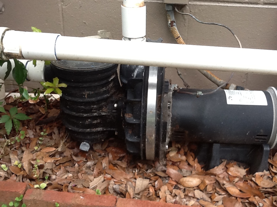 Pureline 1.5 H.P In Ground Pool Pump - PL1601