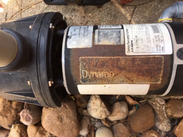 Pureline 1.5 H.P In Ground Pool Pump - PL1601