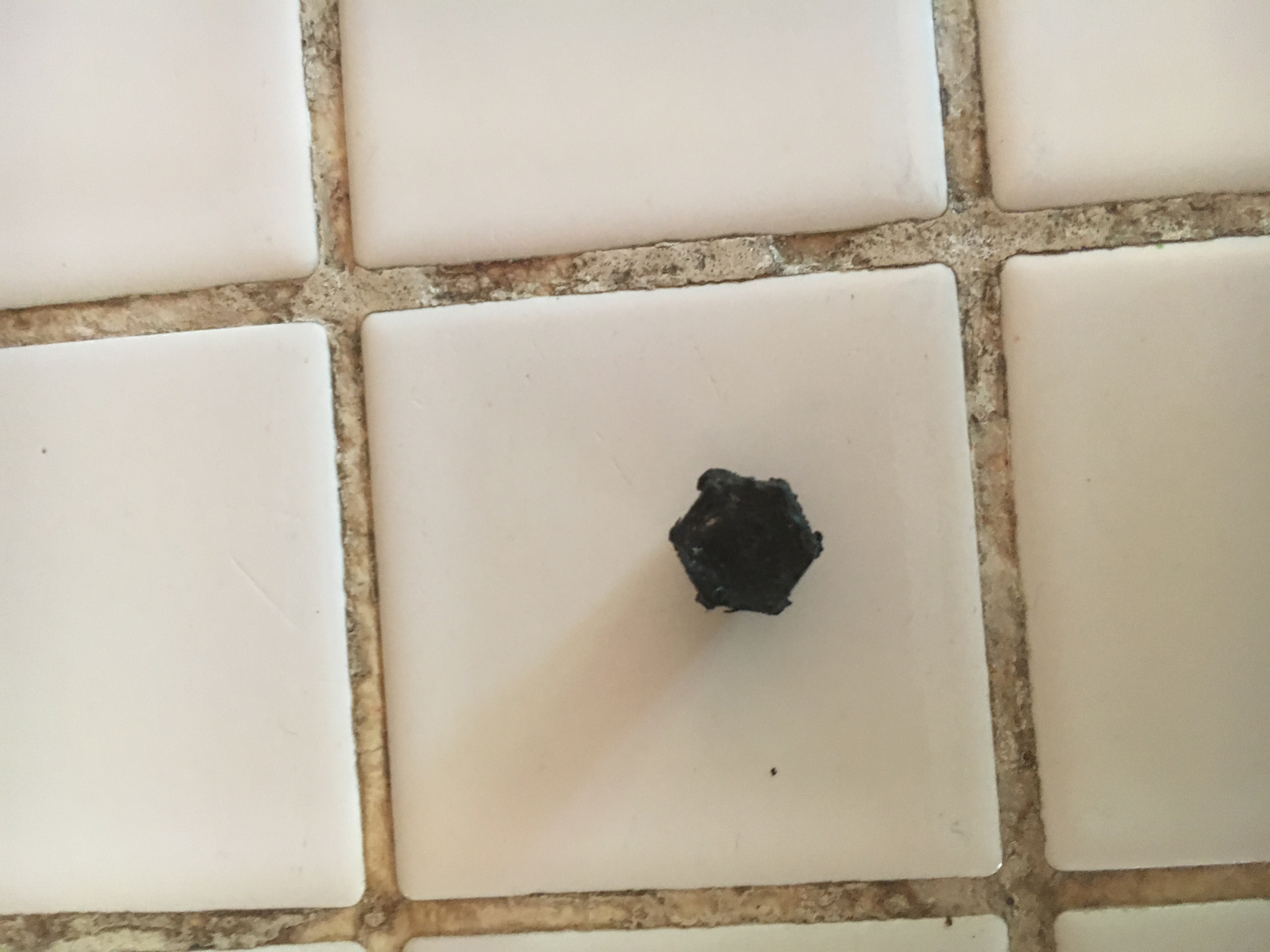 Pureline 1.5 H.P In Ground Pool Pump - PL1601