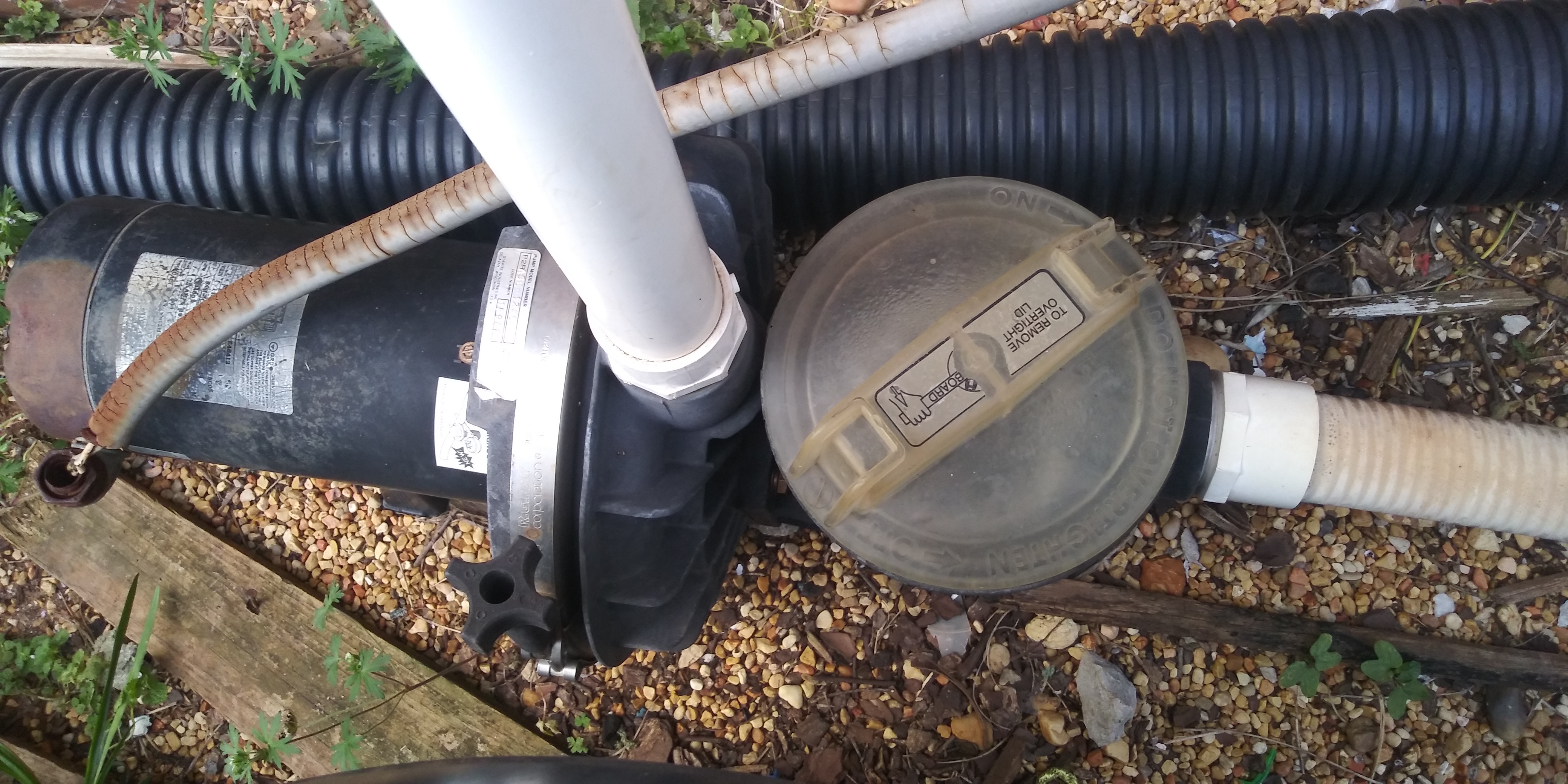 Pureline 1.5 H.P In Ground Pool Pump - PL1601