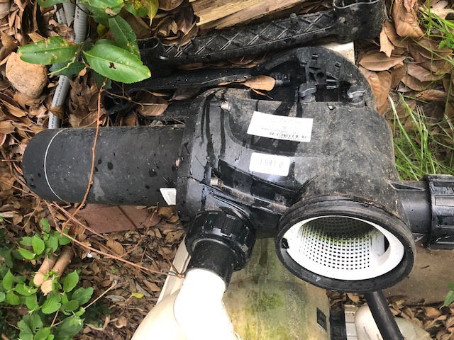 Pureline 1.5 H.P In Ground Pool Pump - PL1601