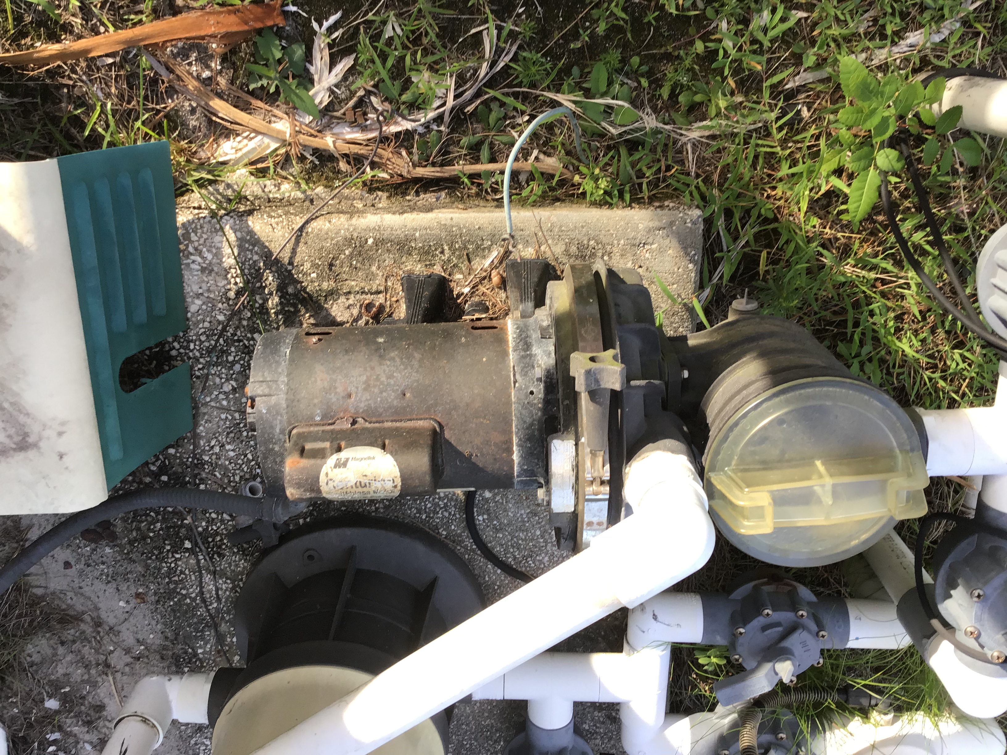 Pureline 1.5 H.P In Ground Pool Pump - PL1601