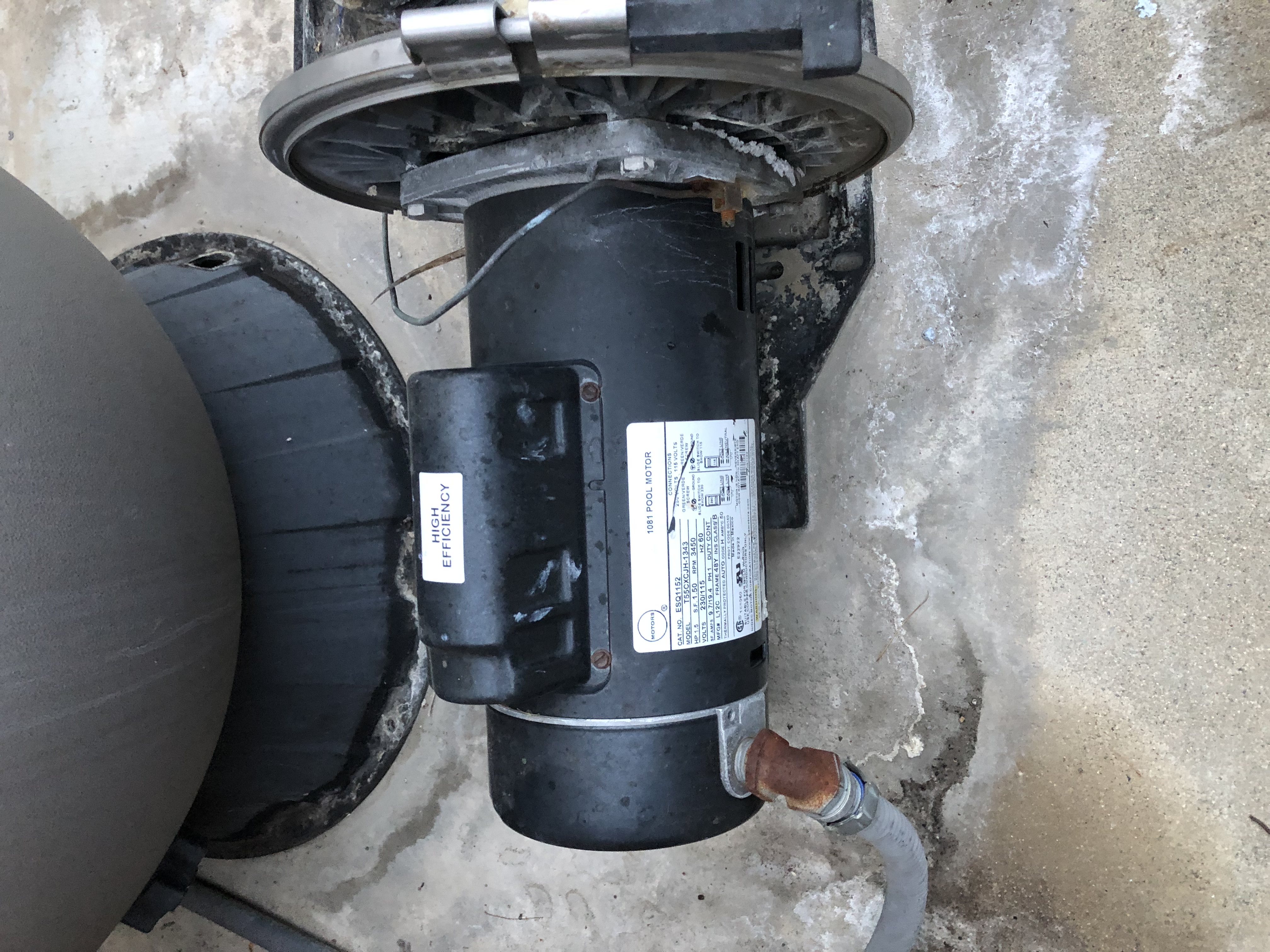 Pureline 1.5 H.P In Ground Pool Pump - PL1601