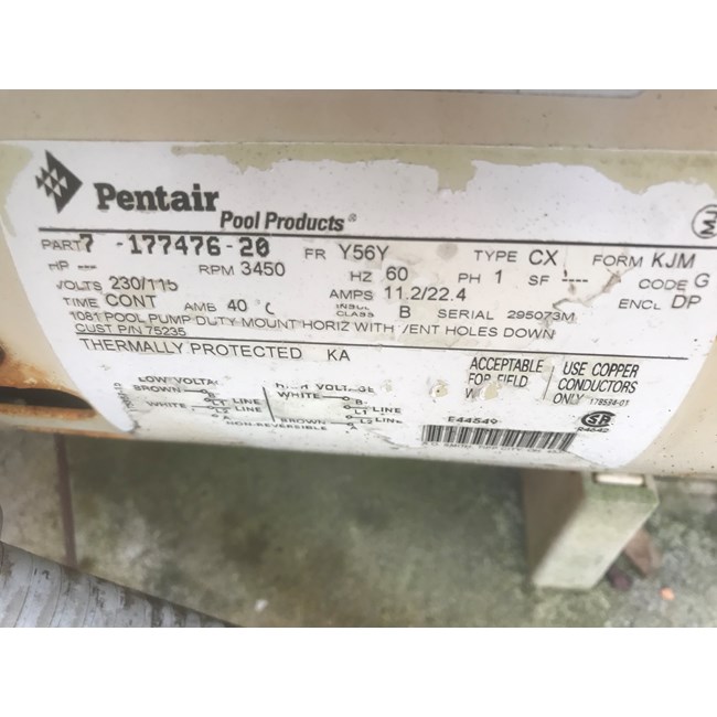 PureLine 2 H.P Pool Motor Square Flange 56Y Up Rate (Out of Stock) - B859