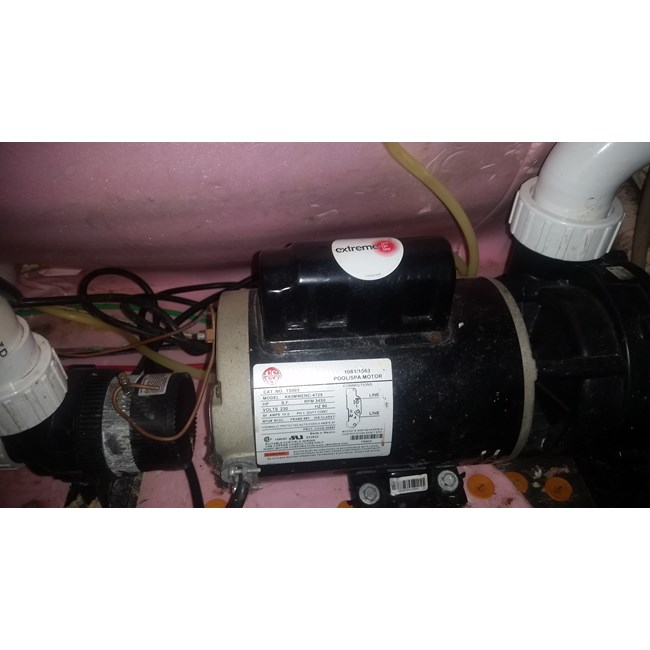 PureLine 2 H.P Pool Motor Square Flange 56Y Up Rate (Out of Stock) - B859