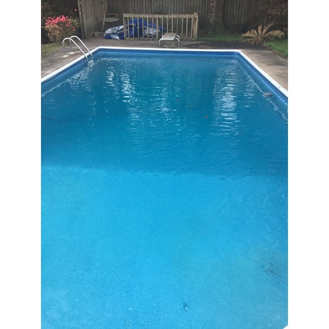 Pureline Inground Pool Leaf Net 16 X 32 Pl5946 Inyopools Com Pureline Inground Pool Leaf Net 16 X, 16 By 32 Inground Pool
