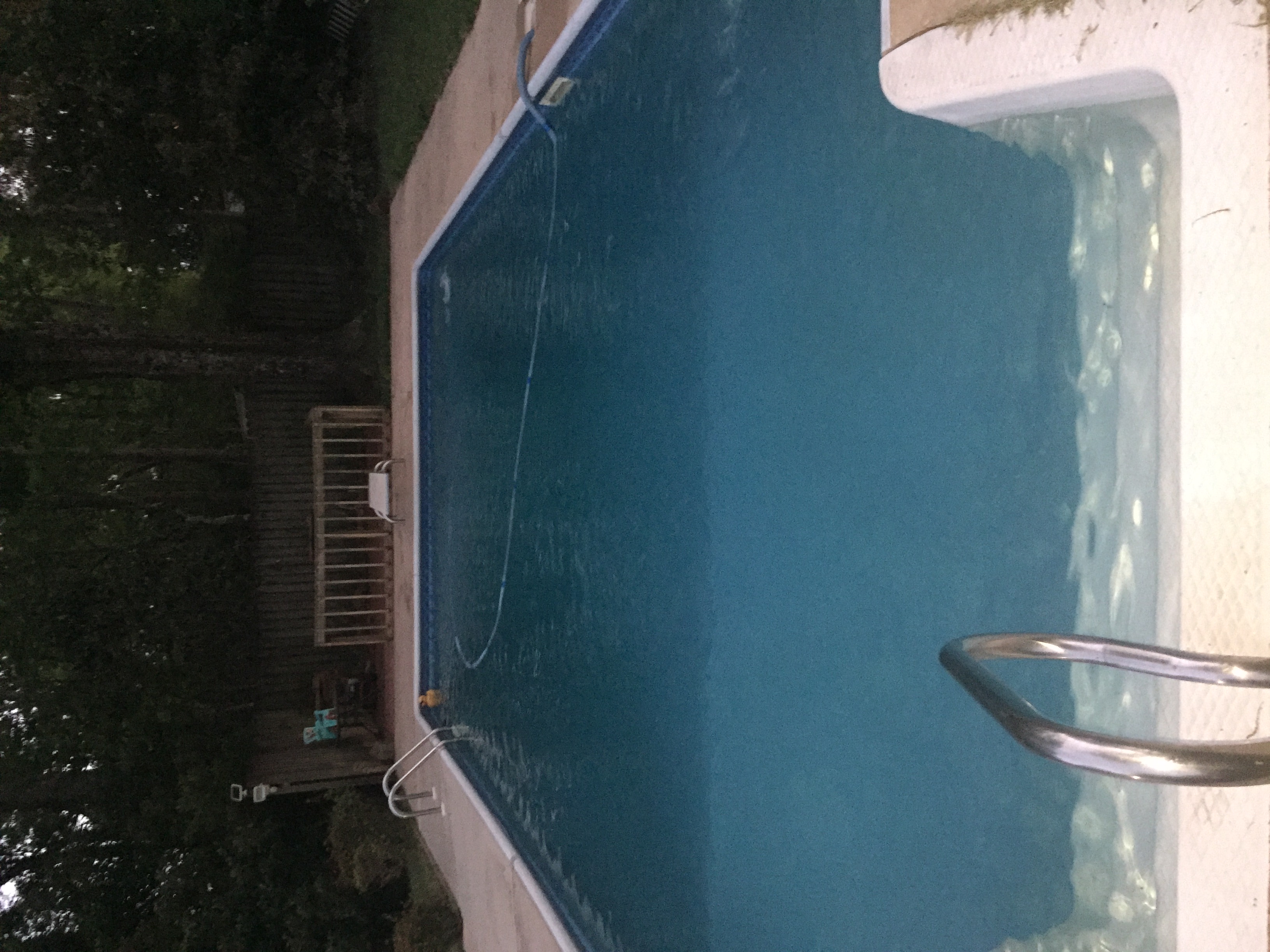 Leaf Net Cover for 16' x 32' Rectangular Inground Pool PL5946