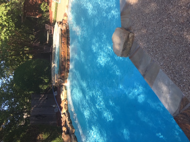 PureLine InGround Pool Leaf Net 30' x 60' PL5966