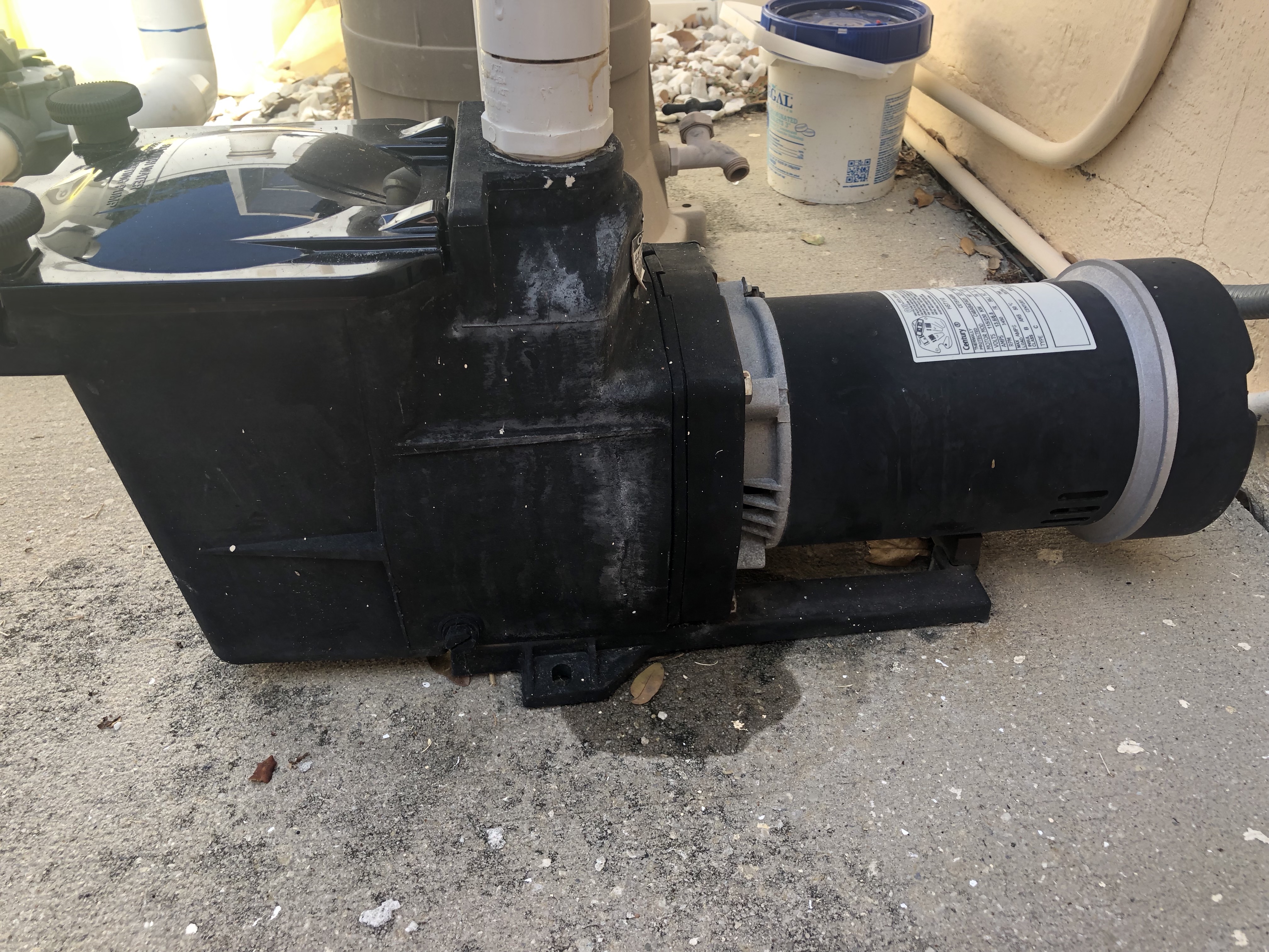 Pureline Prime Pool Pump 1 HP - PL2601