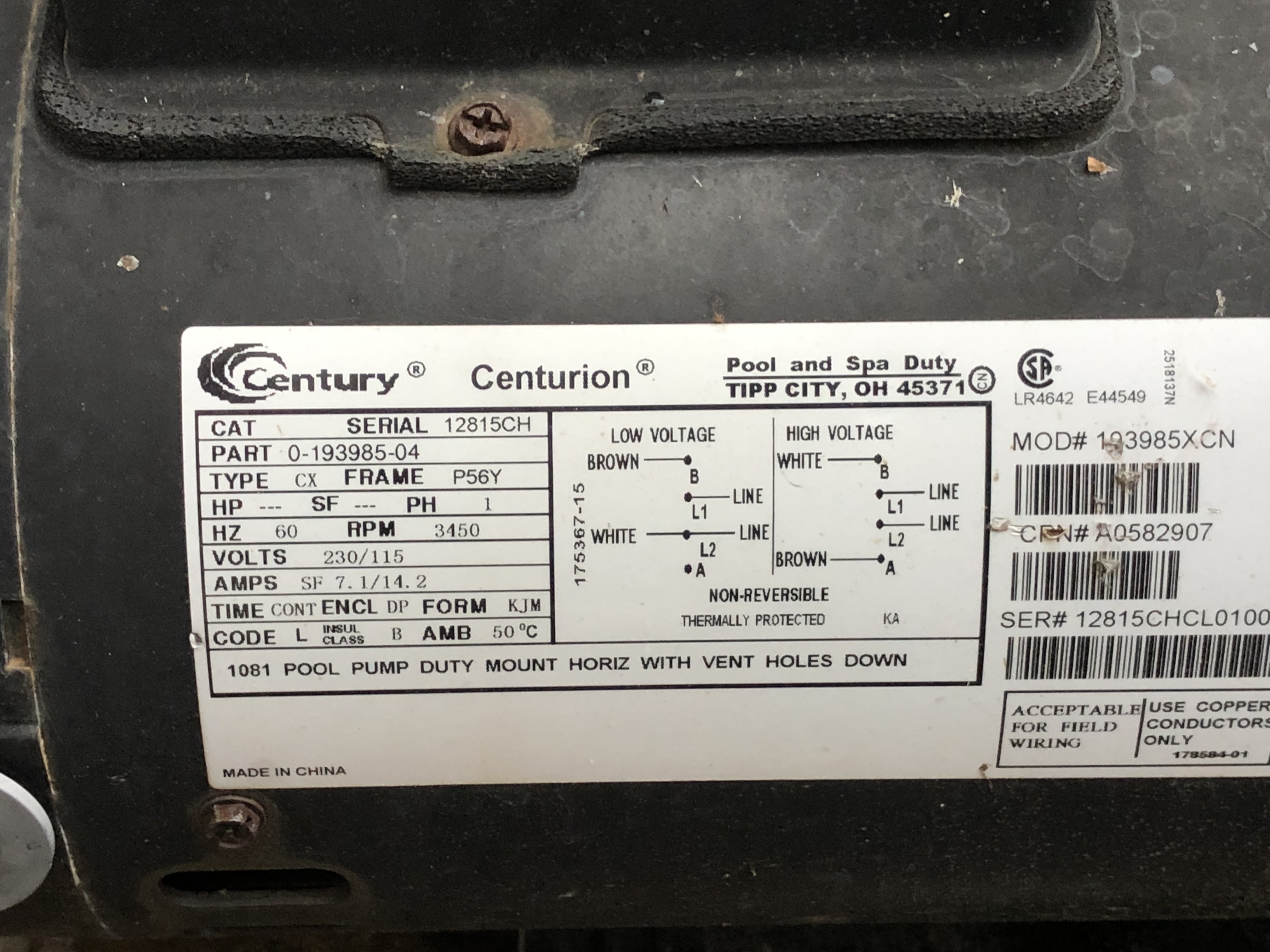 Pureline Prime Pool Pump 1 HP - PL2601