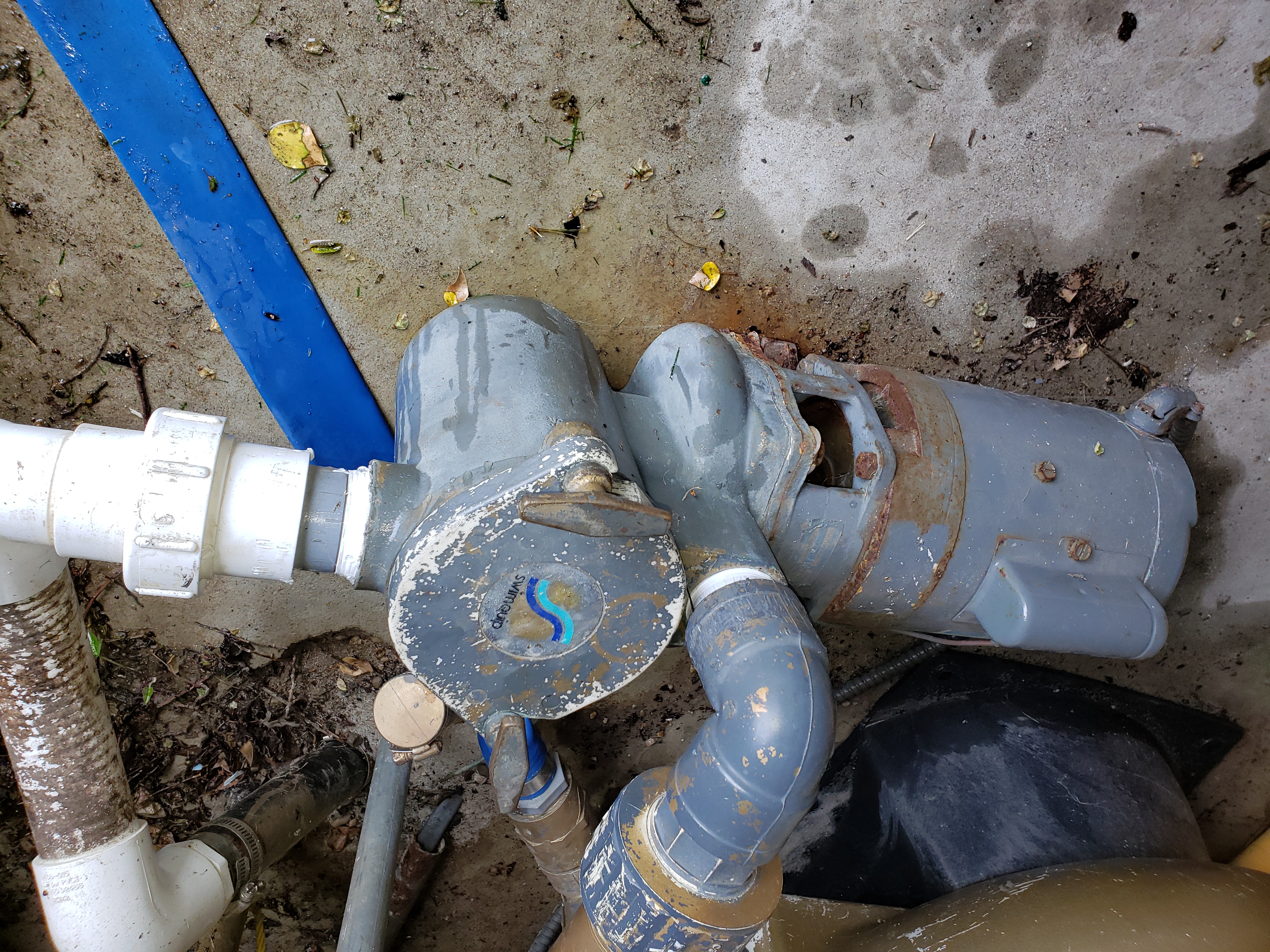 Pureline Prime Pool Pump 1 HP - PL2601