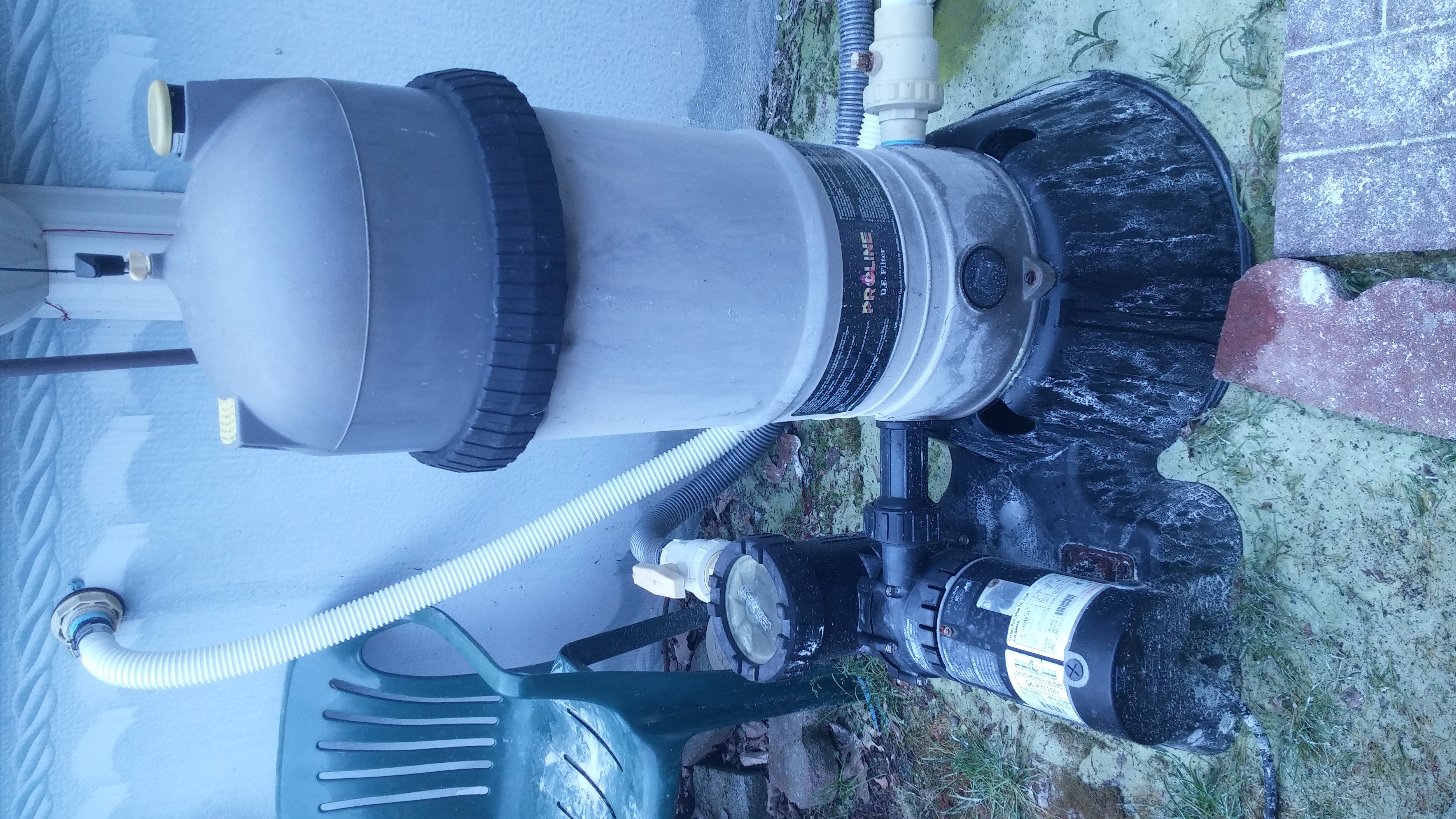 Speck E71 1.5 HP Single Speed Above Ground Pool Pump (E71III