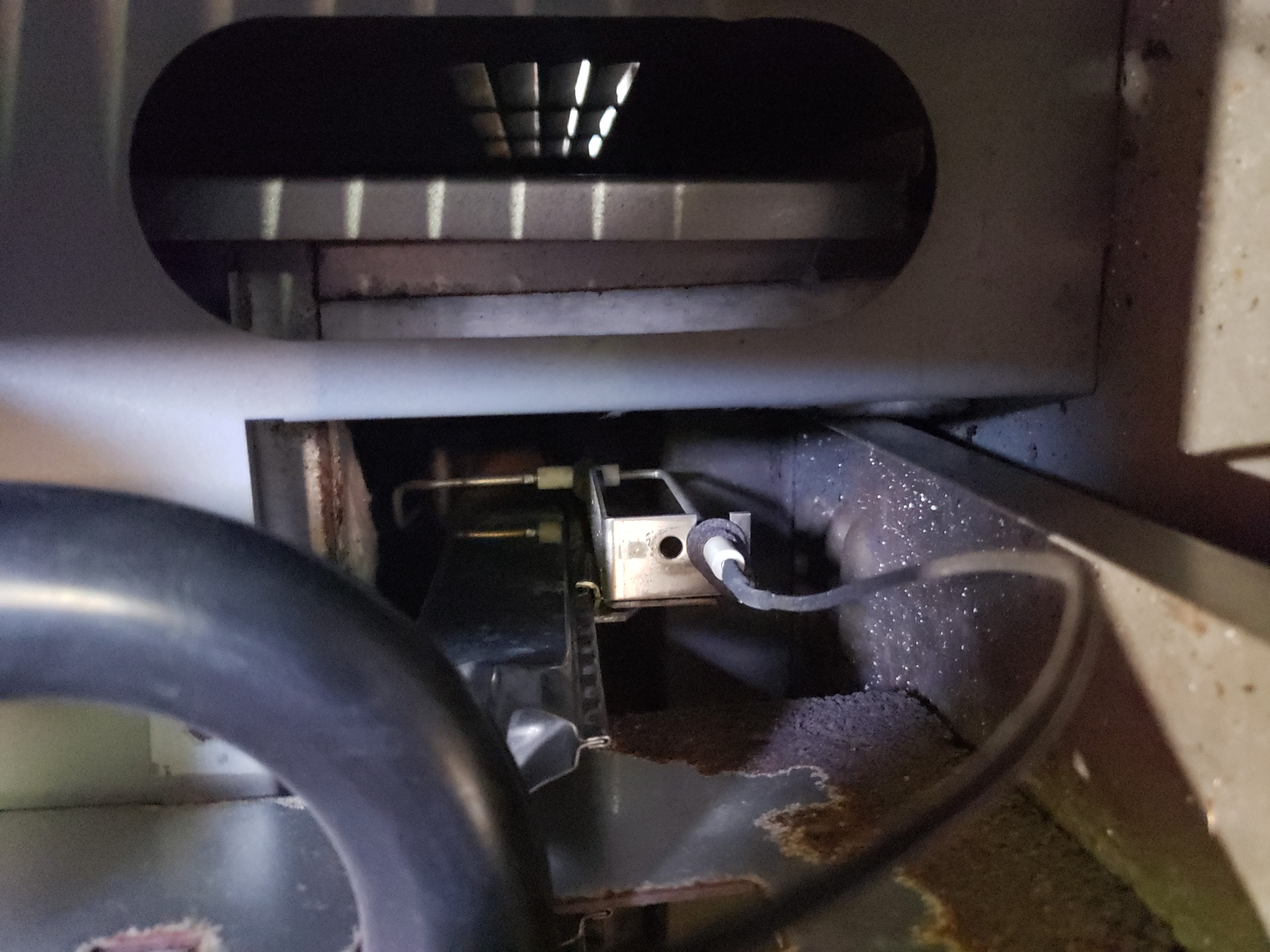 Zodiac Igniter (r0367100)